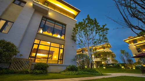 岳阳碧桂园 凤凰城 碧桂园高端系列产品