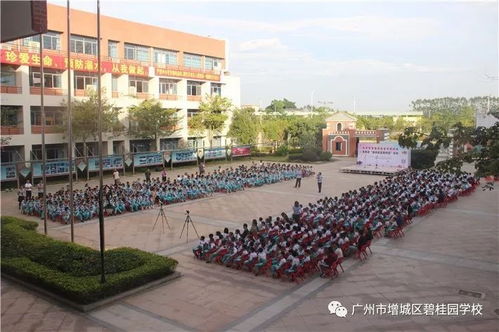 增城区碧桂园学校 食品安全进校园活动,筑起一道食品安全防线
