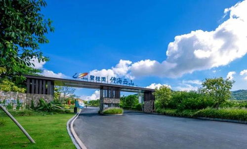 碧桂园伴海云山户型好不好,带不带装修,价格怎么样 有什么利好