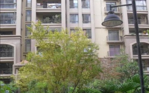 建安公司图片 样板间 装修效果图