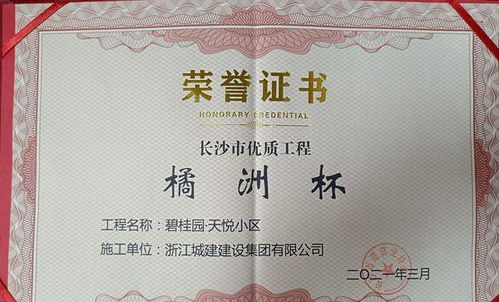 提升产品力 深耕服务力 碧桂园让居住更有价值