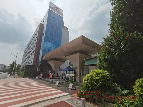 碧桂园5.77亿元拿下玻璃厂约65亩靓地 临近东湖公园