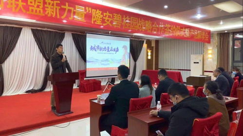 城市新力量在发声 隆安碧桂园战略合作签约仪式暨产品解读会完美落幕