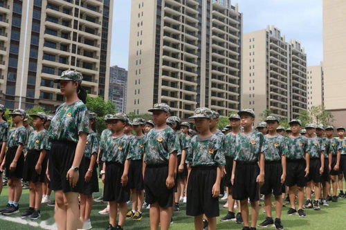 韶关碧桂园外国语学校 走精品特色路，育未来领跑人