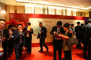 张家港碧桂园楼盘开盘盛况 千人选房引爆购房热潮