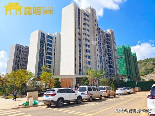 白水泥厂改造遇阻 碧桂园校友会能否接力？